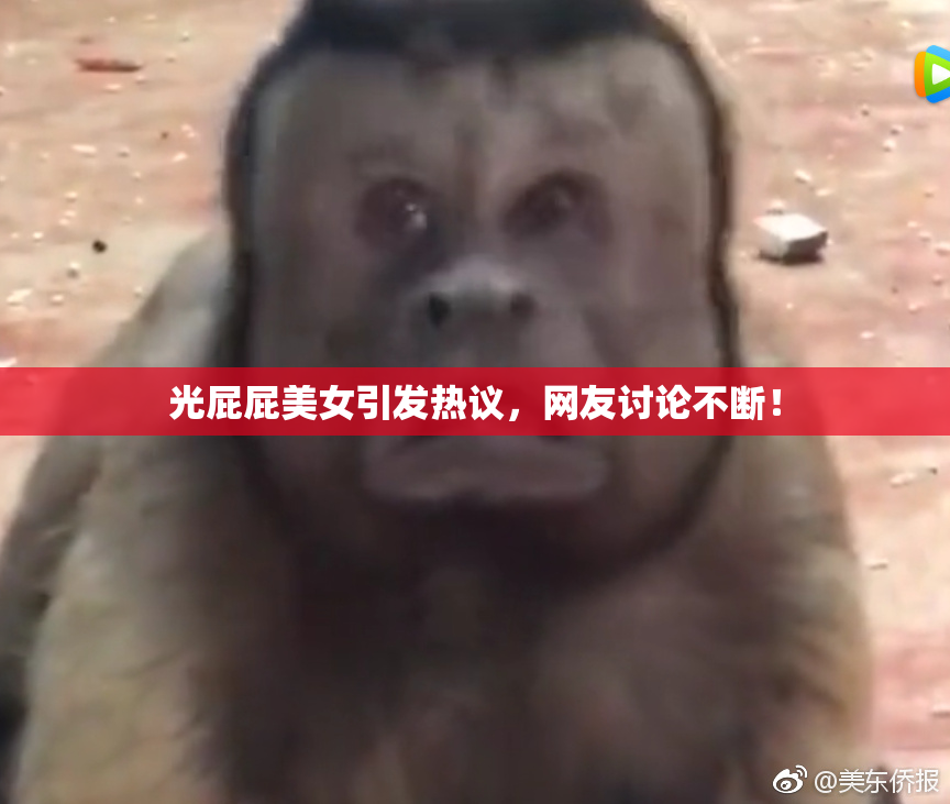 光屁屁美女引发热议，网友讨论不断！