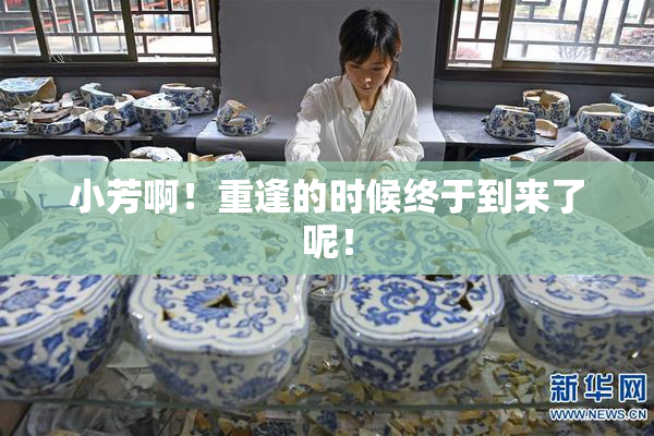 小芳啊！重逢的时候终于到来了呢！