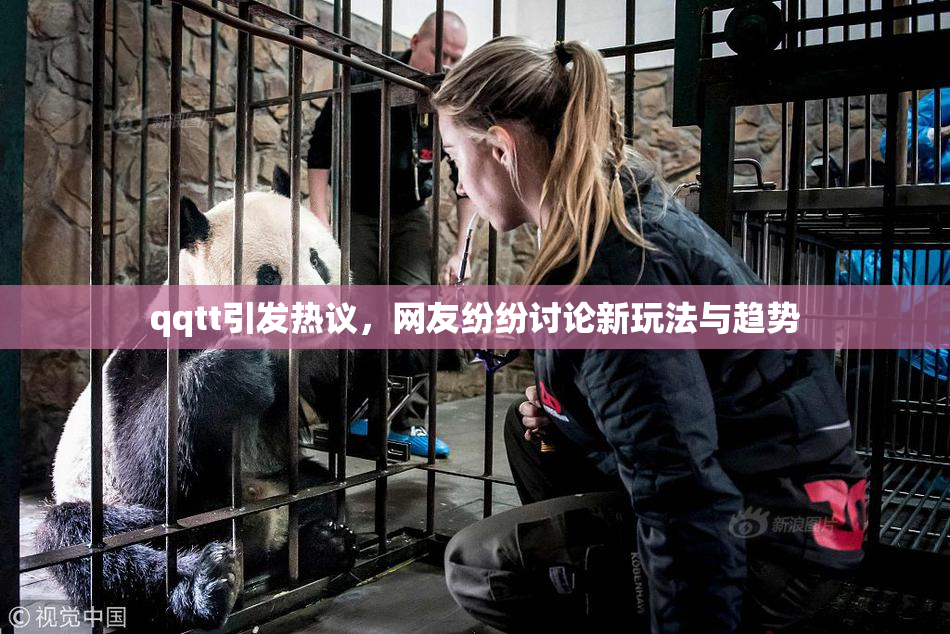 qqtt引发热议，网友纷纷讨论新玩法与趋势