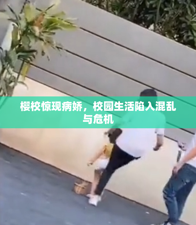 樱校惊现病娇，校园生活陷入混乱与危机