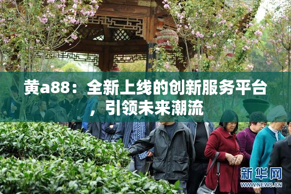 黄a88：全新上线的创新服务平台，引领未来潮流