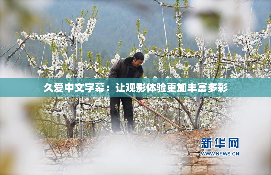 久爱中文字幕：让观影体验更加丰富多彩