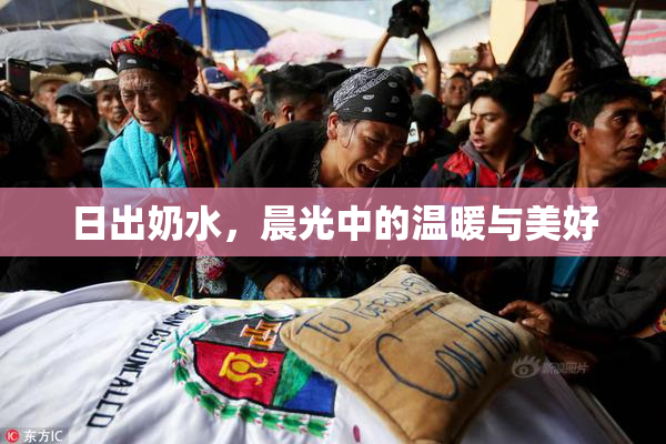 日出奶水，晨光中的温暖与美好