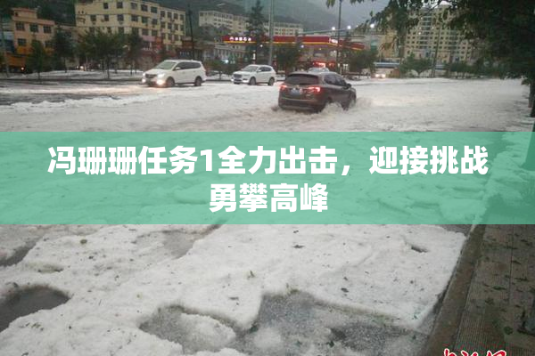 冯珊珊任务1全力出击，迎接挑战勇攀高峰