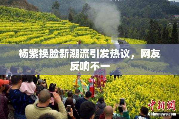杨紫换脸新潮流引发热议，网友反响不一
