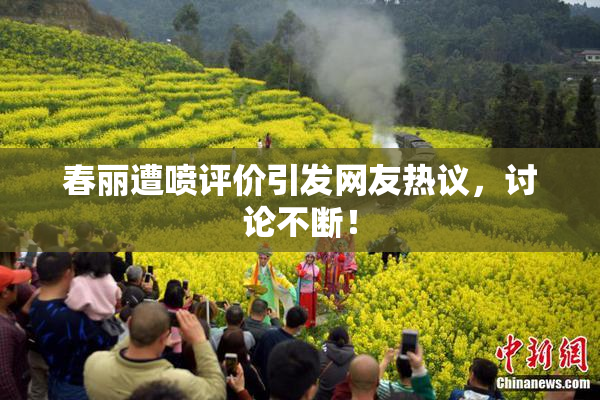 春丽遭喷评价引发网友热议，讨论不断！