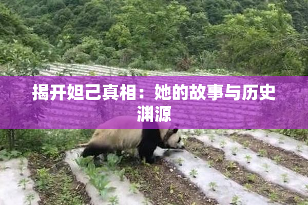 揭开妲己真相：她的故事与历史渊源