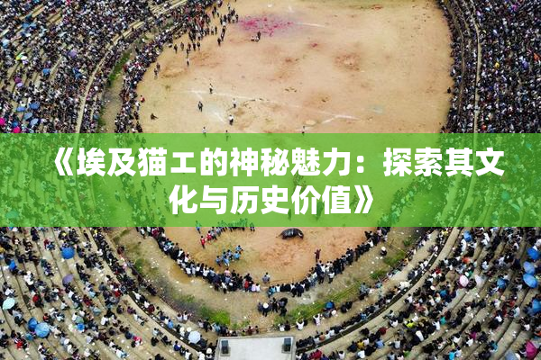 《埃及猫エ的神秘魅力：探索其文化与历史价值》
