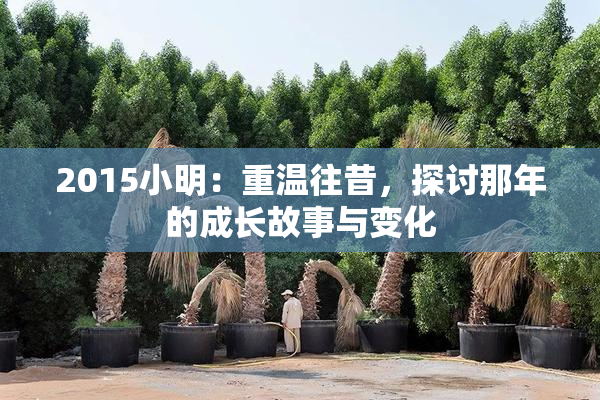 2015小明：重温往昔，探讨那年的成长故事与变化