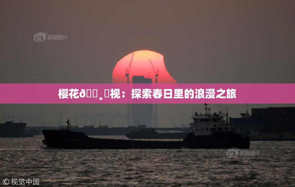 樱花🌸‌视：探索春日里的浪漫之旅