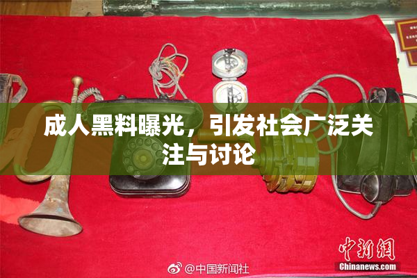 成人黑料曝光，引发社会广泛关注与讨论