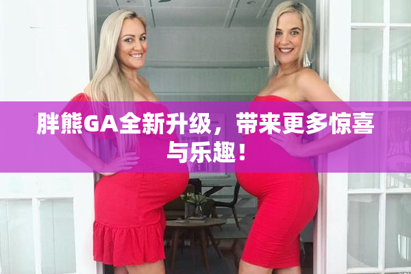 胖熊GA全新升级，带来更多惊喜与乐趣！