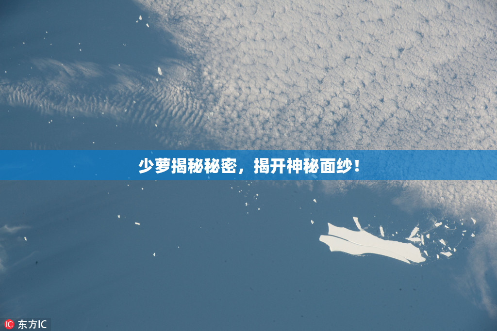 少萝揭秘秘密，揭开神秘面纱！