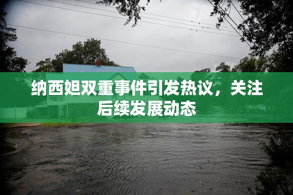 纳西妲双重事件引发热议，关注后续发展动态