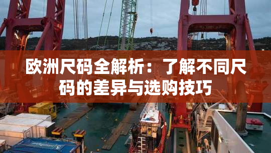 欧洲尺码全解析：了解不同尺码的差异与选购技巧
