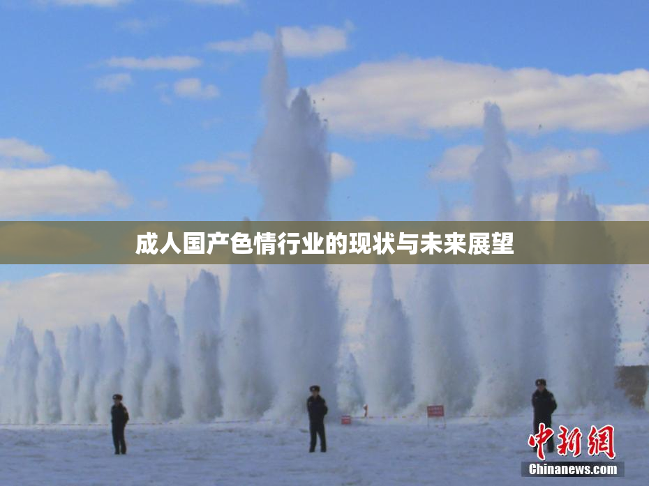成人国产色情行业的现状与未来展望