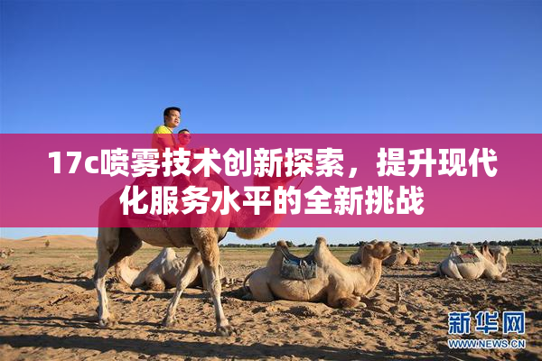 17c喷雾技术创新探索，提升现代化服务水平的全新挑战