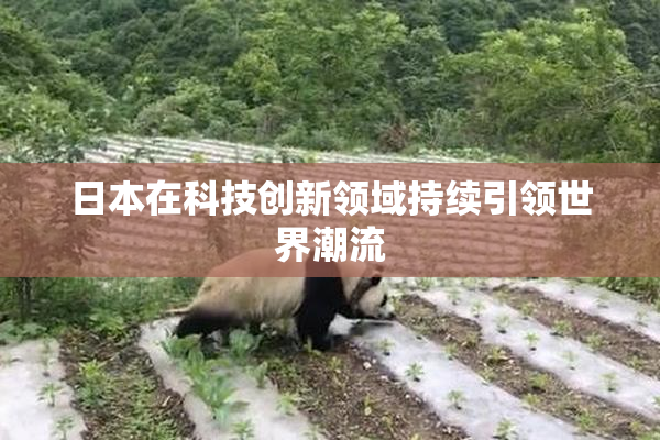 日本在科技创新领域持续引领世界潮流