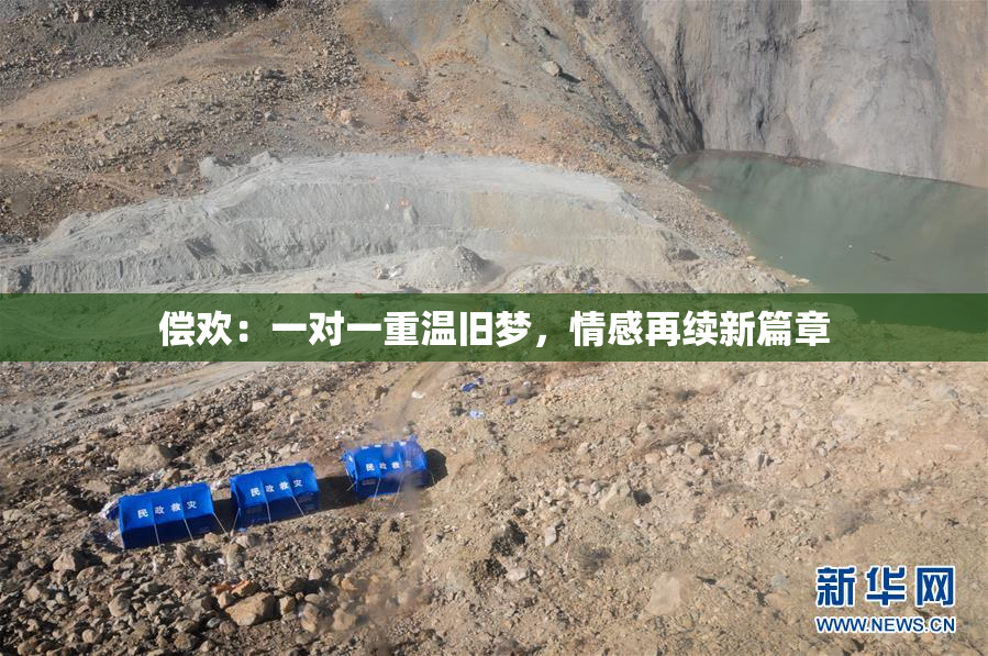 偿欢：一对一重温旧梦，情感再续新篇章
