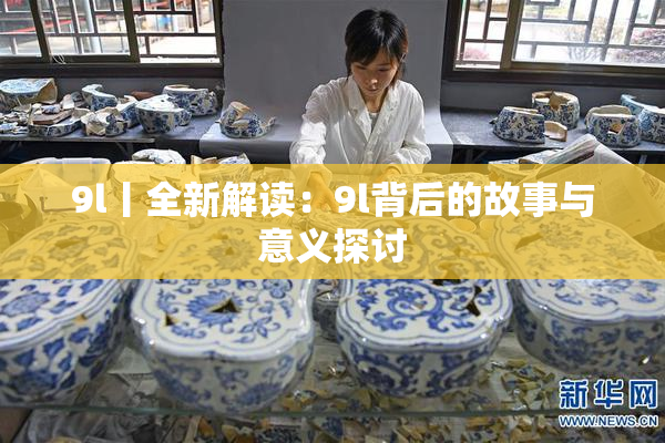 9l丨全新解读：9l背后的故事与意义探讨