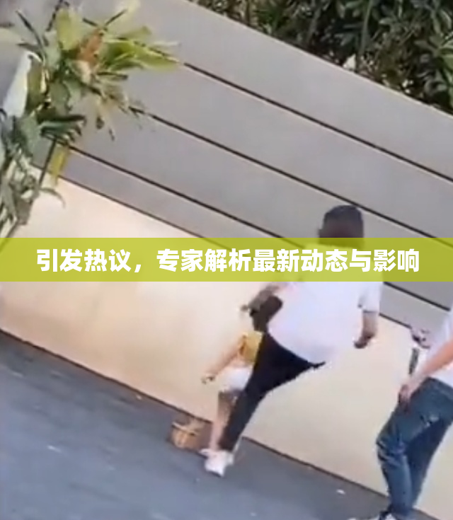 引发热议，专家解析最新动态与影响