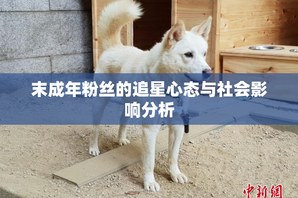 末成年粉丝的追星心态与社会影响分析
