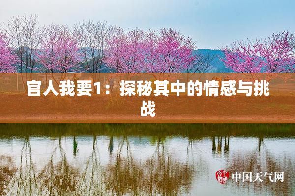 官人我要1：探秘其中的情感与挑战