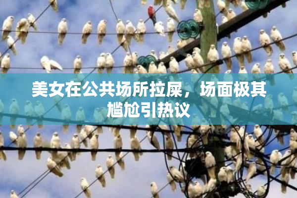 美女在公共场所拉屎，场面极其尴尬引热议