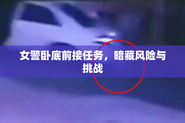 女警卧底前接任务，暗藏风险与挑战