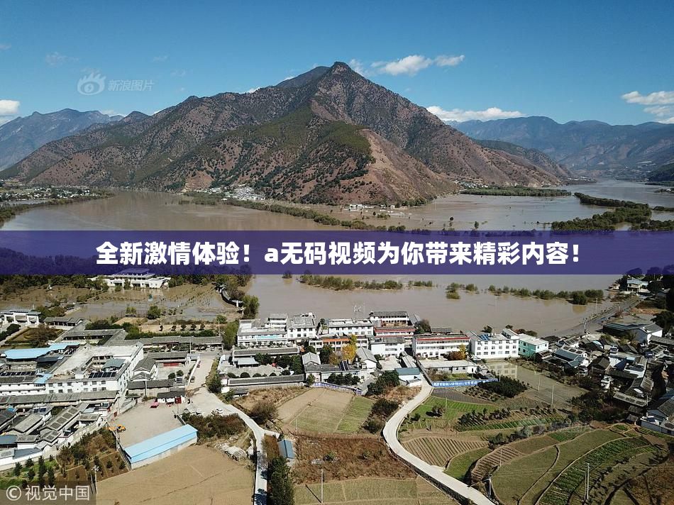 全新激情体验！a无码视频为你带来精彩内容！