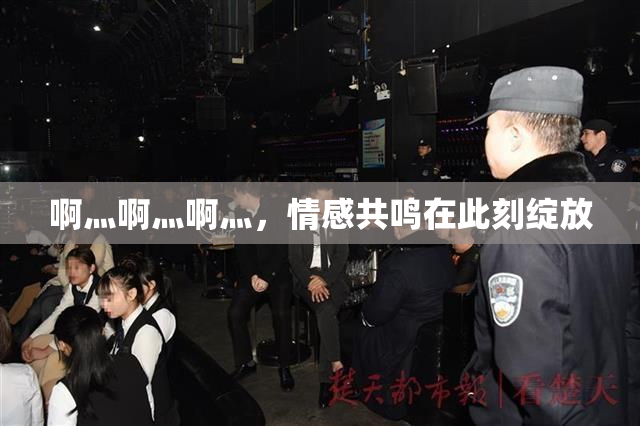 啊灬啊灬啊灬，情感共鸣在此刻绽放