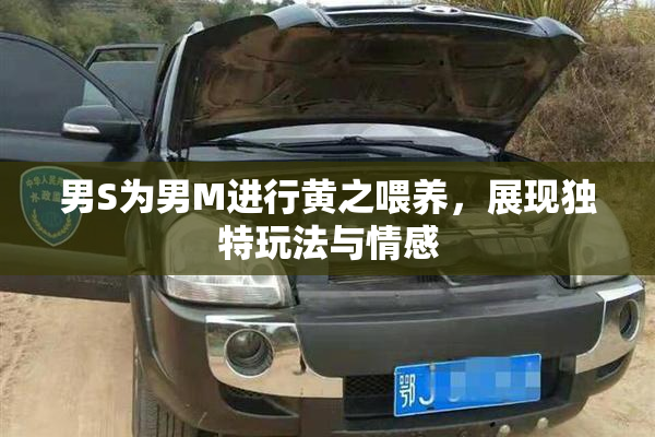 男S为男M进行黄之喂养，展现独特玩法与情感