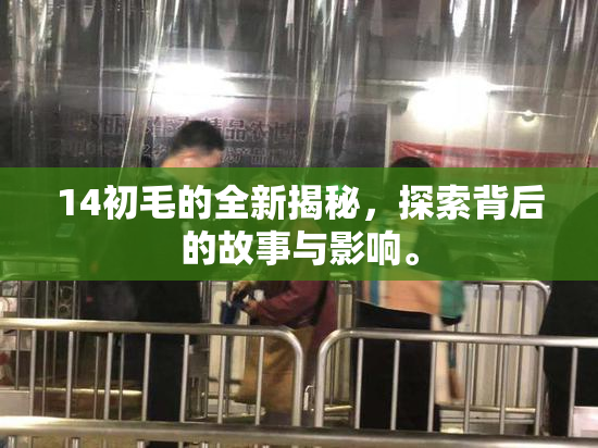 14初毛的全新揭秘，探索背后的故事与影响。