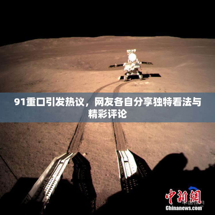 91重口引发热议，网友各自分享独特看法与精彩评论