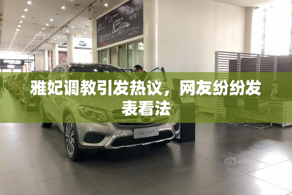雅妃调教引发热议，网友纷纷发表看法