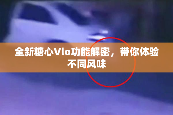 全新糖心Vlo功能解密，带你体验不同风味