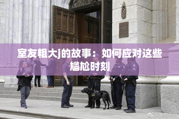 室友粗大j的故事：如何应对这些尴尬时刻