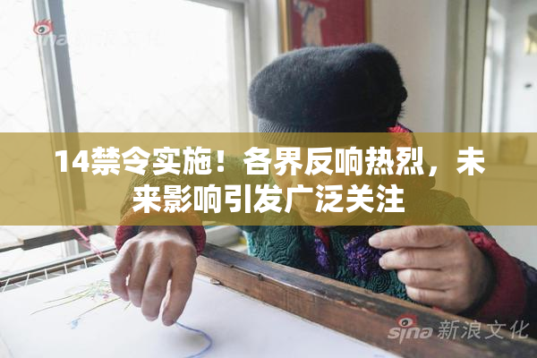 14禁令实施！各界反响热烈，未来影响引发广泛关注