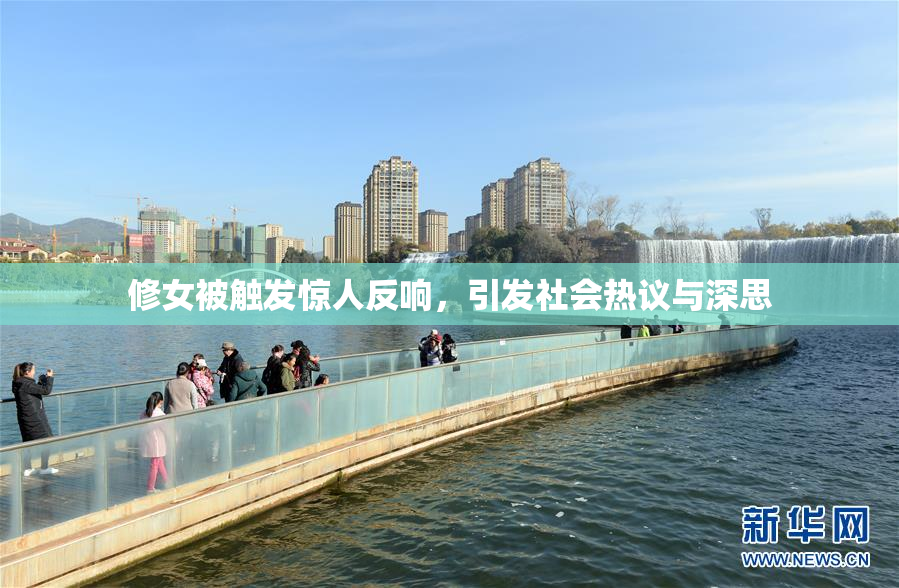 修女被触发惊人反响，引发社会热议与深思