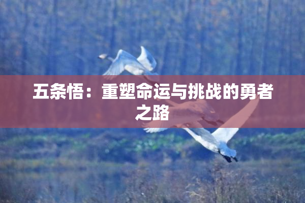 五条悟：重塑命运与挑战的勇者之路