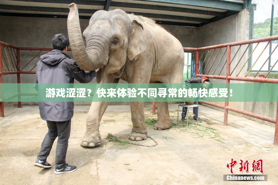 游戏涩涩？快来体验不同寻常的畅快感受！