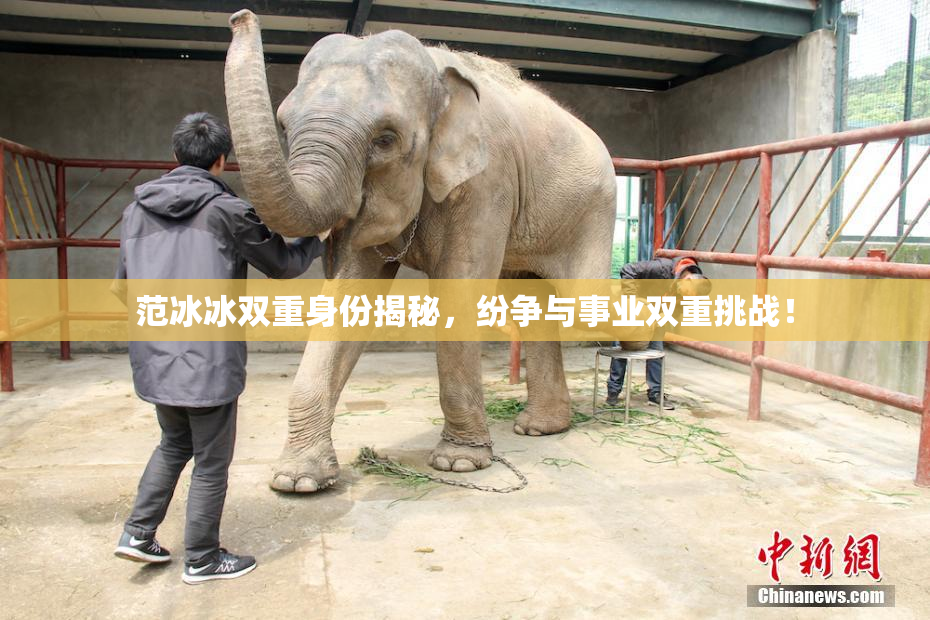范冰冰双重身份揭秘，纷争与事业双重挑战！