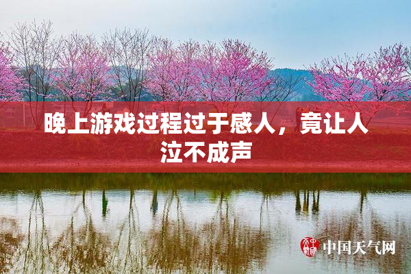 晚上游戏过程过于感人，竟让人泣不成声