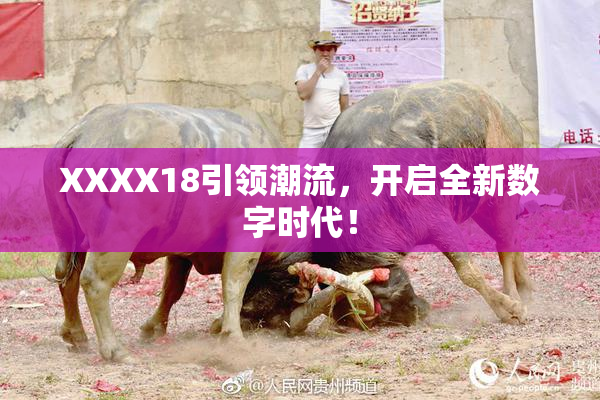 XXXX18引领潮流，开启全新数字时代！