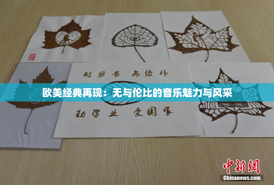 欧美经典再现：无与伦比的音乐魅力与风采