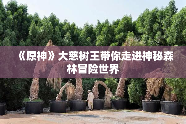 《原神》大慈树王带你走进神秘森林冒险世界