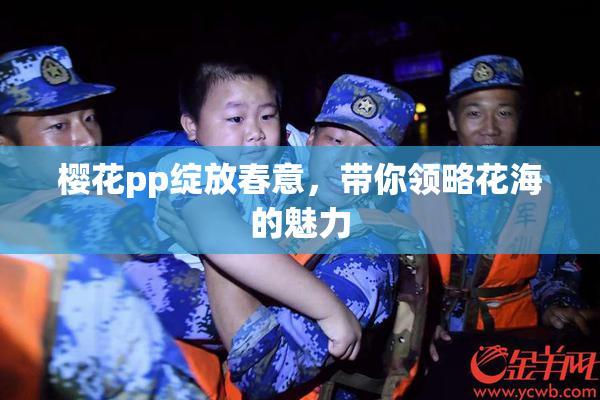 樱花pp绽放春意，带你领略花海的魅力