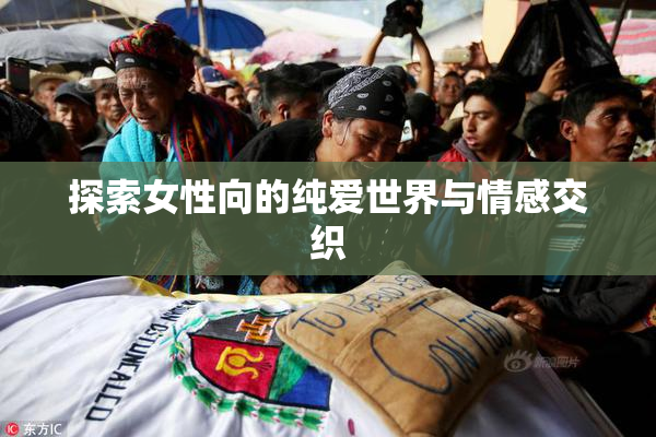 探索女性向的纯爱世界与情感交织