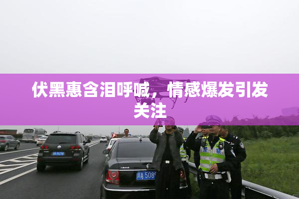 伏黑惠含泪呼喊，情感爆发引发关注