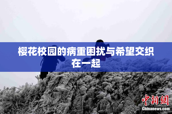 樱花校园的病重困扰与希望交织在一起